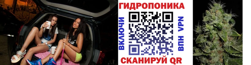 Наркотические вещества Чегем blacksprut сайт  Мефедрон  МАРИХУАНА  APVP 